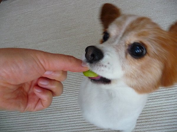 画像 026.pana26.jpg