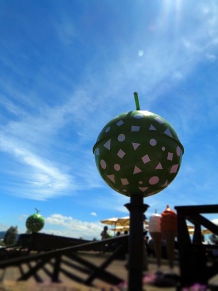 画像 027.furano.jpg