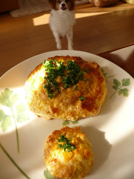 画像 027.pana11.jpg