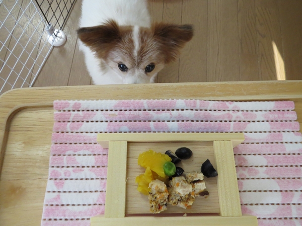 画像 028.ca7.jpg