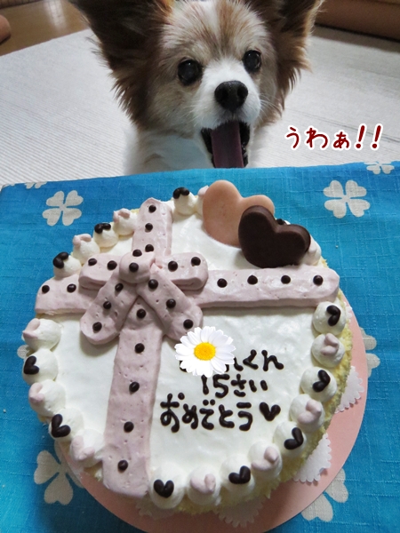 画像 028.cake.jpg