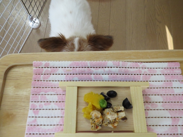 画像 029.ca7.jpg