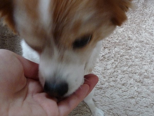 画像 029.pana25.jpg