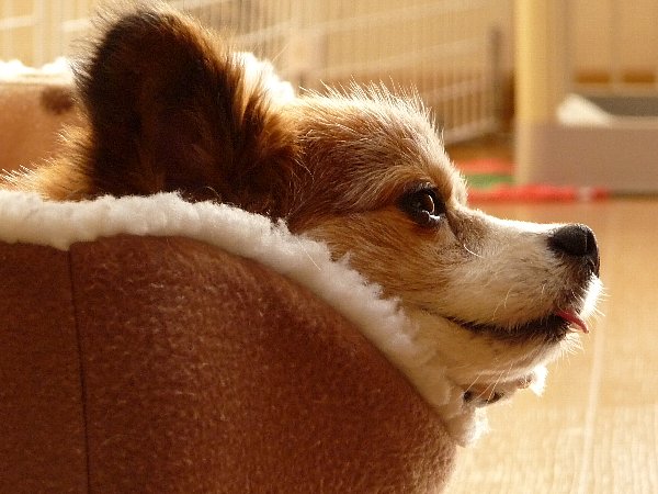 画像 030.pana28.jpg