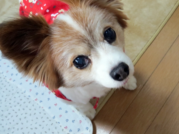 画像 032.ca5.jpg