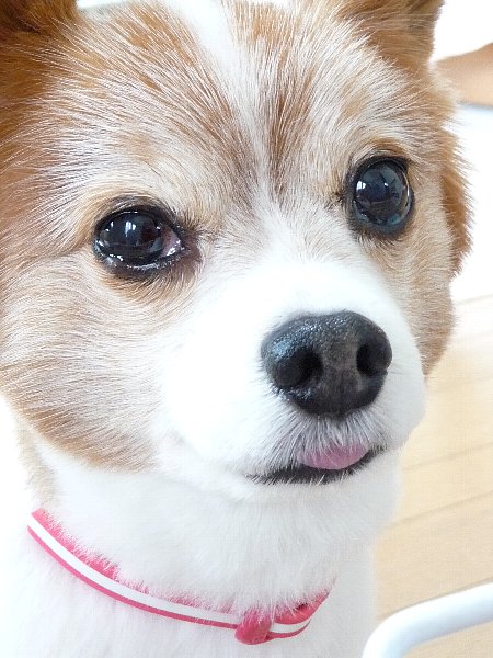 画像 032.pana27.jpg