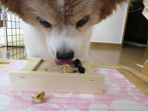 画像 034.ca7.jpg