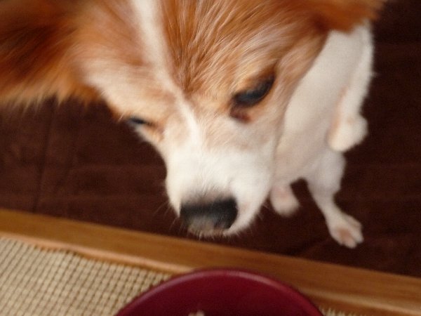 画像 034.pana15.jpg