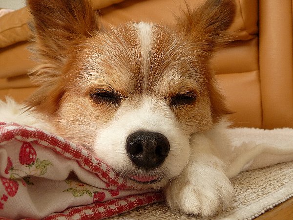画像 034.pana28.jpg