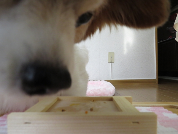 画像 035.ca7.jpg