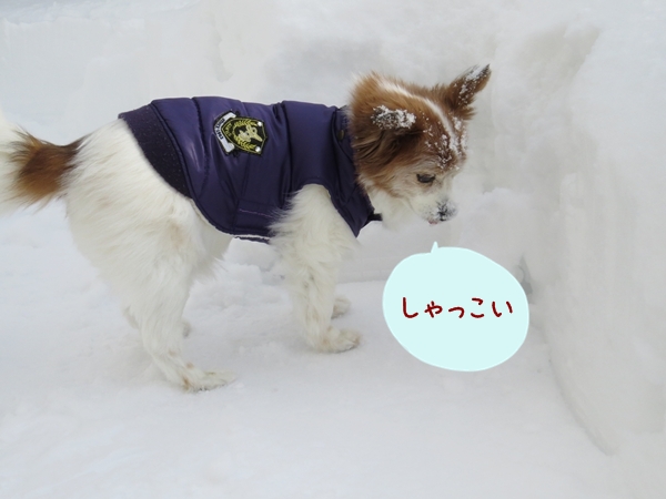 画像 038.ca12.jpg