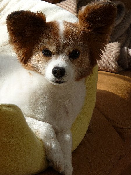 画像 040.pana25.jpg