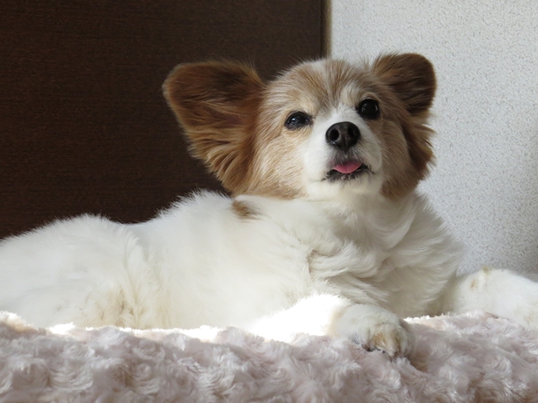 画像 041.ca7.jpg