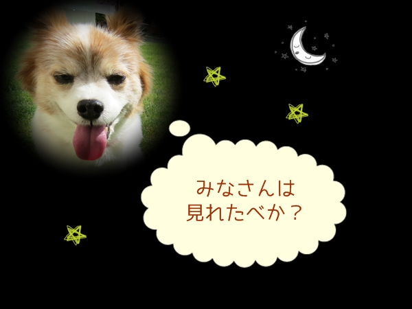 画像 042.ca6.jpg