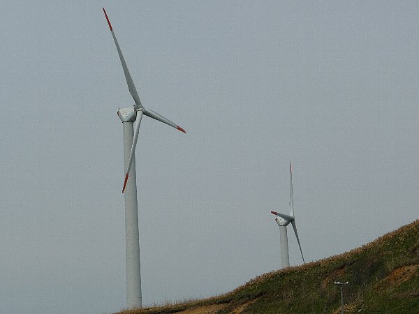 画像 042.pana20.jpg