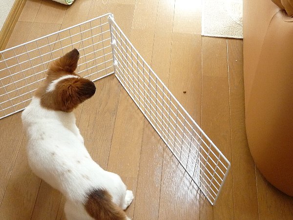 画像 042.pana27.jpg