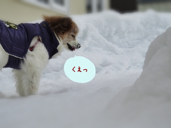 画像 043.ca12.jpg