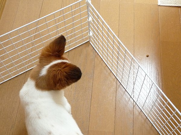 画像 043.pana27.jpg