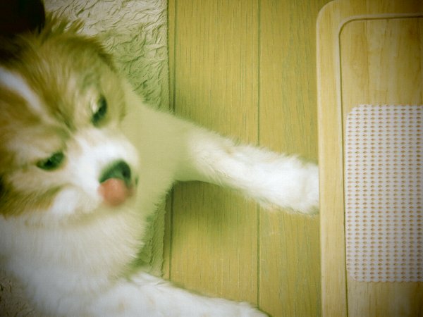 画像 044.JPG.ca44.jpg