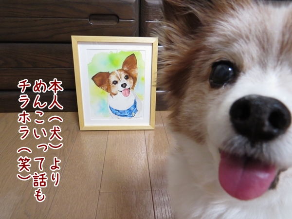 画像 044.ca10.jpg