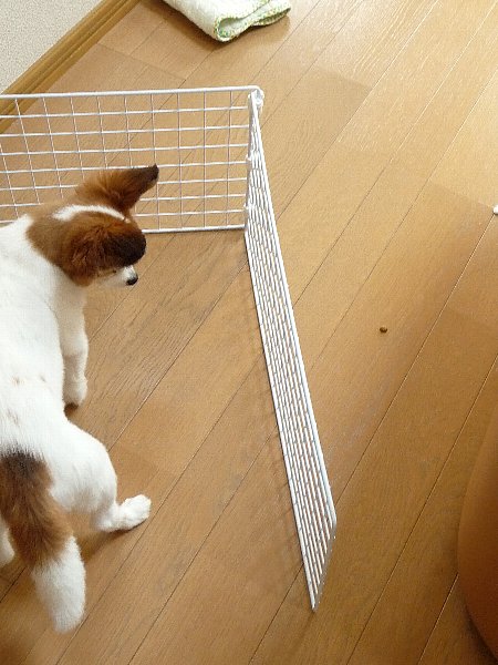 画像 044.pana27.jpg