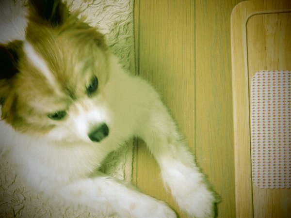 画像 045.JPG.ca45.jpg