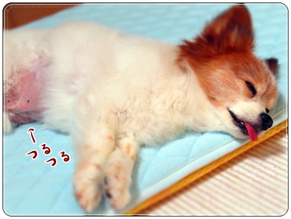 画像 045.cake.jpg