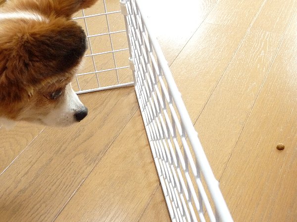 画像 045.pana27.jpg