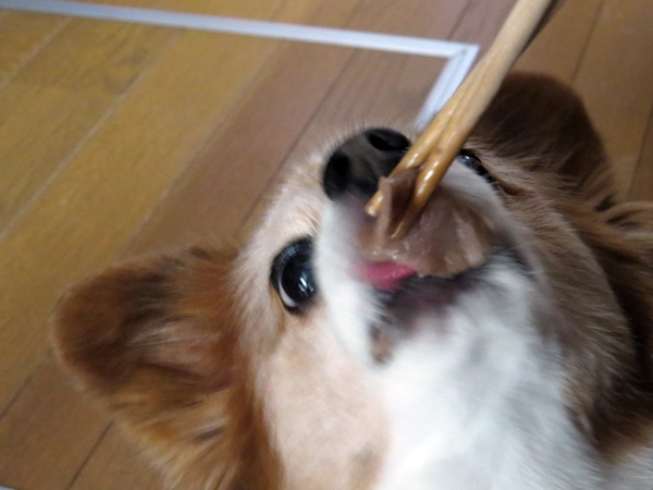 画像 046.ca4.jpg