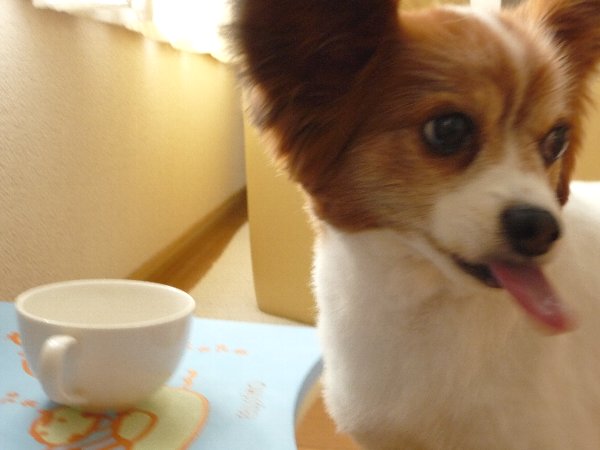 画像 046.pana13.jpg