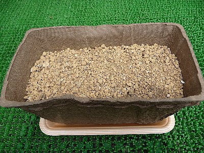 画像 046.pana20.jpg