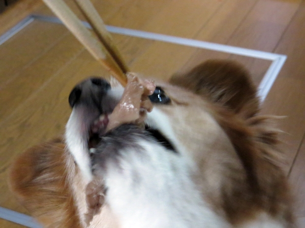 画像 047.ca4.jpg
