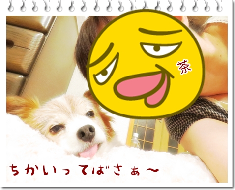 画像 047.cake.jpg