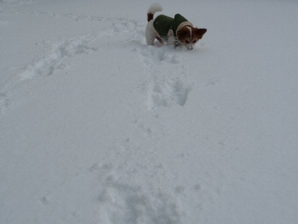 画像 047.pana16.jpg