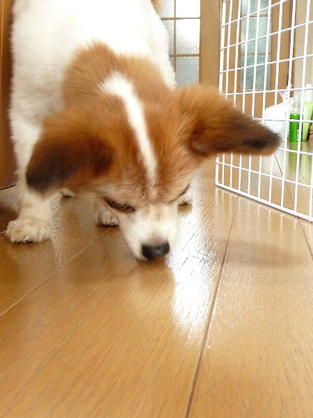 画像 047.pana27.jpg