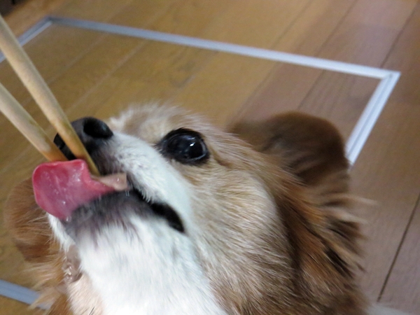 画像 048.ca4.jpg
