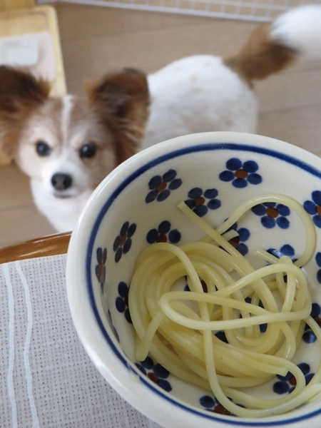 画像 048.ca5.jpg