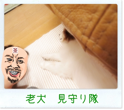 画像 048.cake.jpg