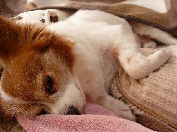 画像 048.pana17.jpg