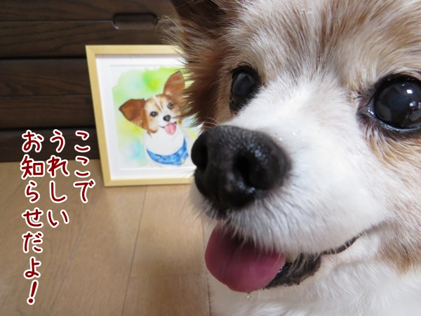 画像 049.ca10.jpg