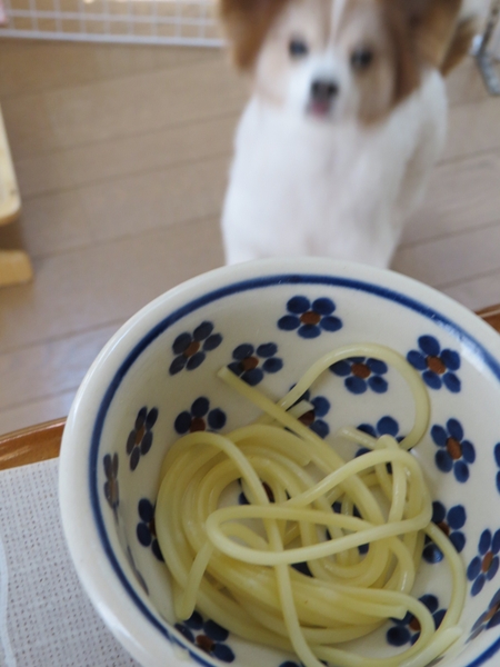 画像 049.ca5.jpg