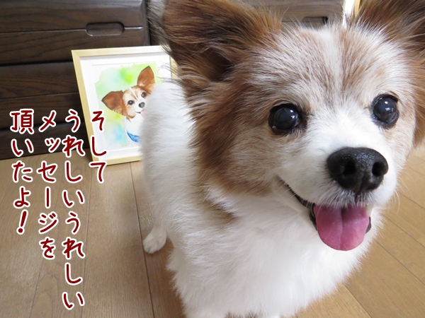 画像 050.ca10.jpg
