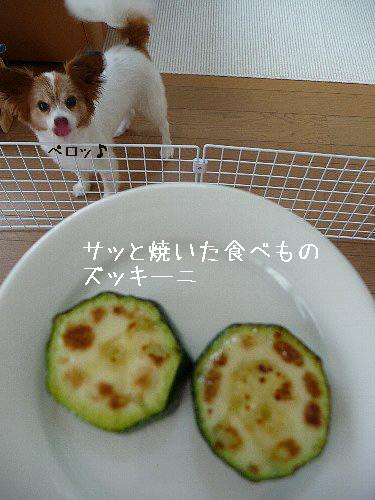 画像 051.pana.21.jpg