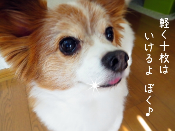 画像 052.ca4.jpg