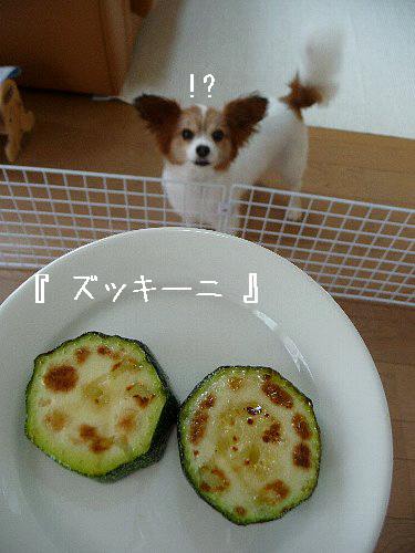 画像 052.pana.21.jpg