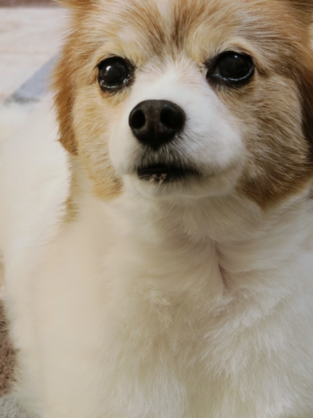 画像 053.ca8.jpg
