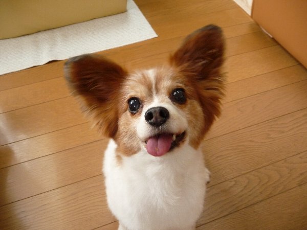 画像 053.pana13.jpg