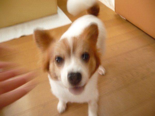 画像 054.pana13.jpg