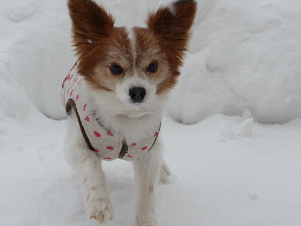画像 054.pana24.jpg