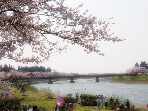 画像 055.sakutabi.jpg